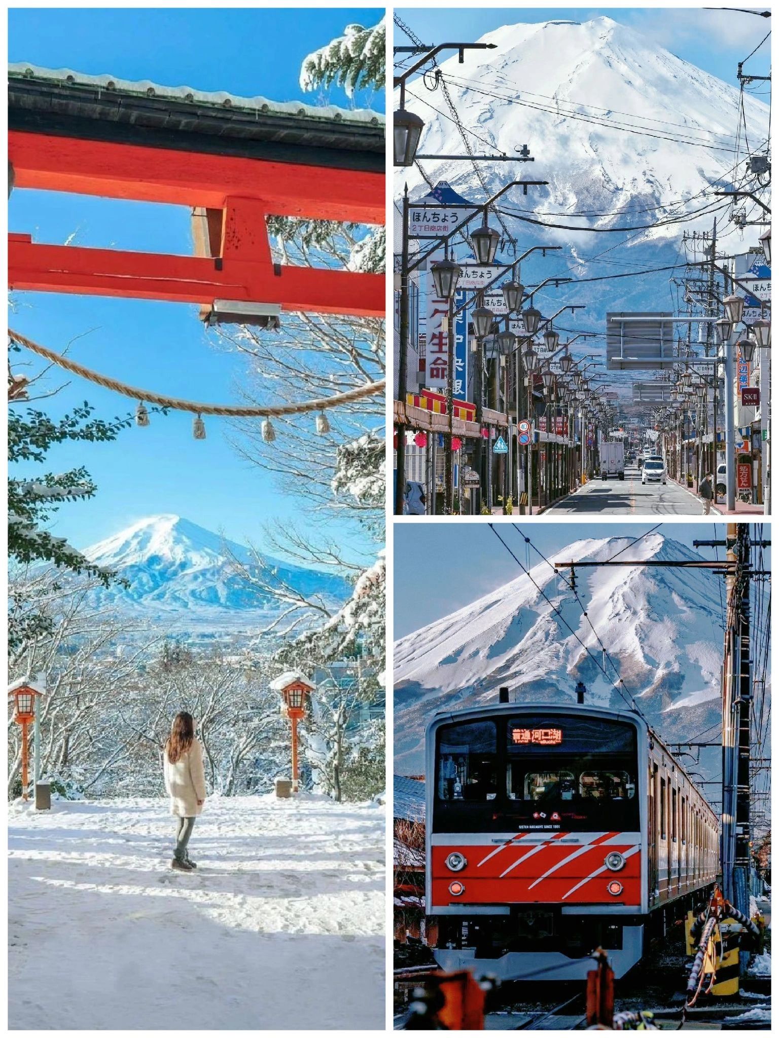 1693389489221103.jpeg 13337862343538738.jpeg