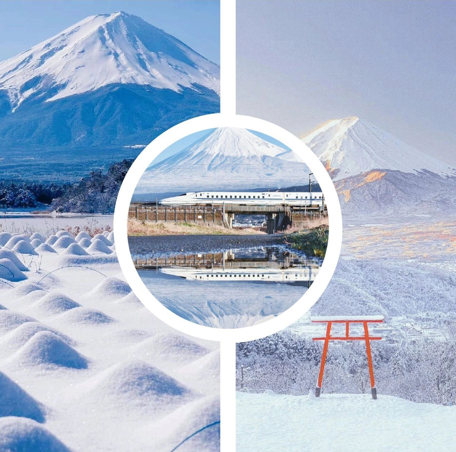 1693389640296286.jpeg 13337862771016083.jpeg